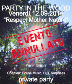PARTY IN THE WOOD 2014