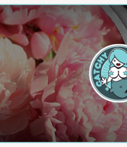 Catchy Sound: Stylophonic, Dax, Nic Fabris