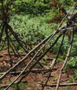 RUA 009: ECO DEL MONTE 22.08.2015