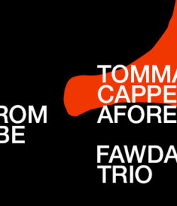 VIBES FROM THE TRIBE