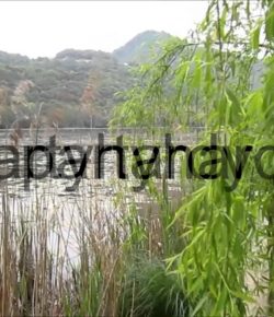 PARTYHARDY 17.03.2017