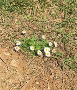 PARTYHARDY 07.04.2017