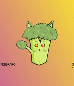 #DISCOGATTO 17.11.2018