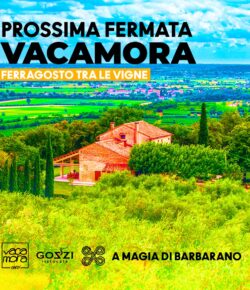FERRAGOSTO TRA LE VIGNE
